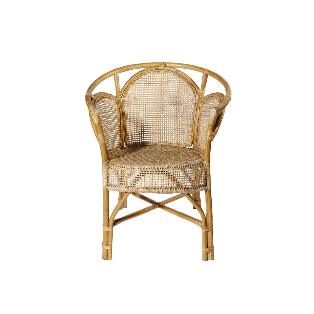 Cane Armchair - view 2, Ceylon Cane Crafts Sri Lanka